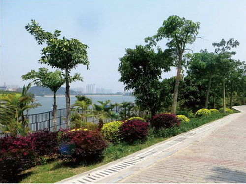 廈門湖邊水庫片區(qū)景觀工程
