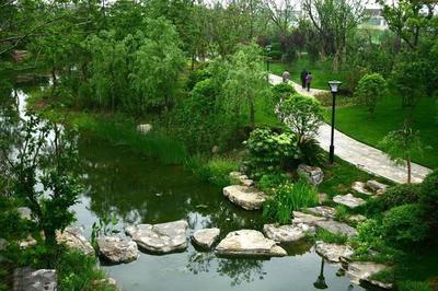 南通五水公園綠化景觀工程即將開工，打造城市生態新地標