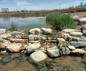 蘭州園林景觀工程預計年底全面完工，城市顏值再提升