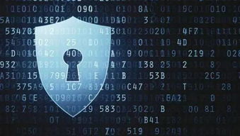 解讀互聯(lián)網(wǎng)新聞信息服務(wù)管理新規(guī) 監(jiān)管升級(jí)，責(zé)任強(qiáng)化