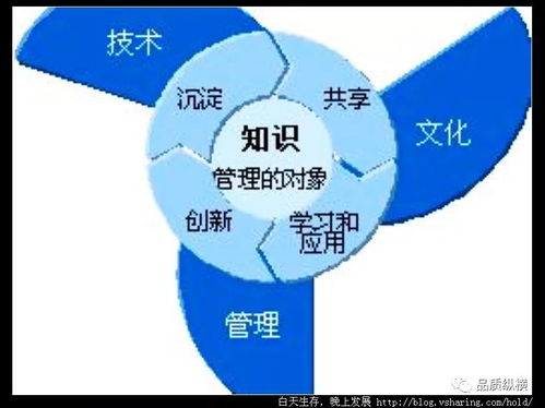 破局與傳承 企業(yè)變革浪潮下的知識管理新范式